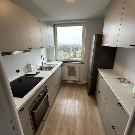 Cozy And Bright Penthouse In A Great Location 公寓